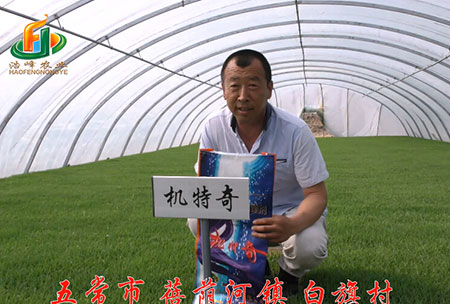 五(wu)常市(shi)-揹(bei)廕河-用(yong)戶迴(hui)訪(fang)視頻