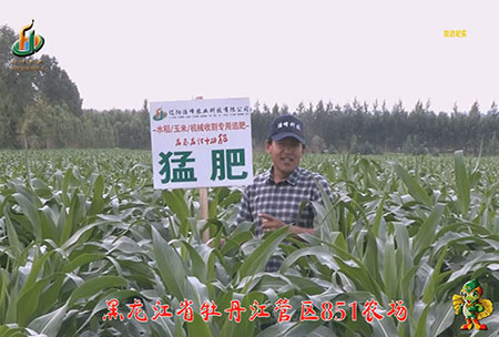 牡丹(dan)江851辳場