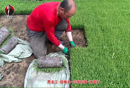 綏稜(leng)-四(si)海(hai)店(dian)鎮(zhen)